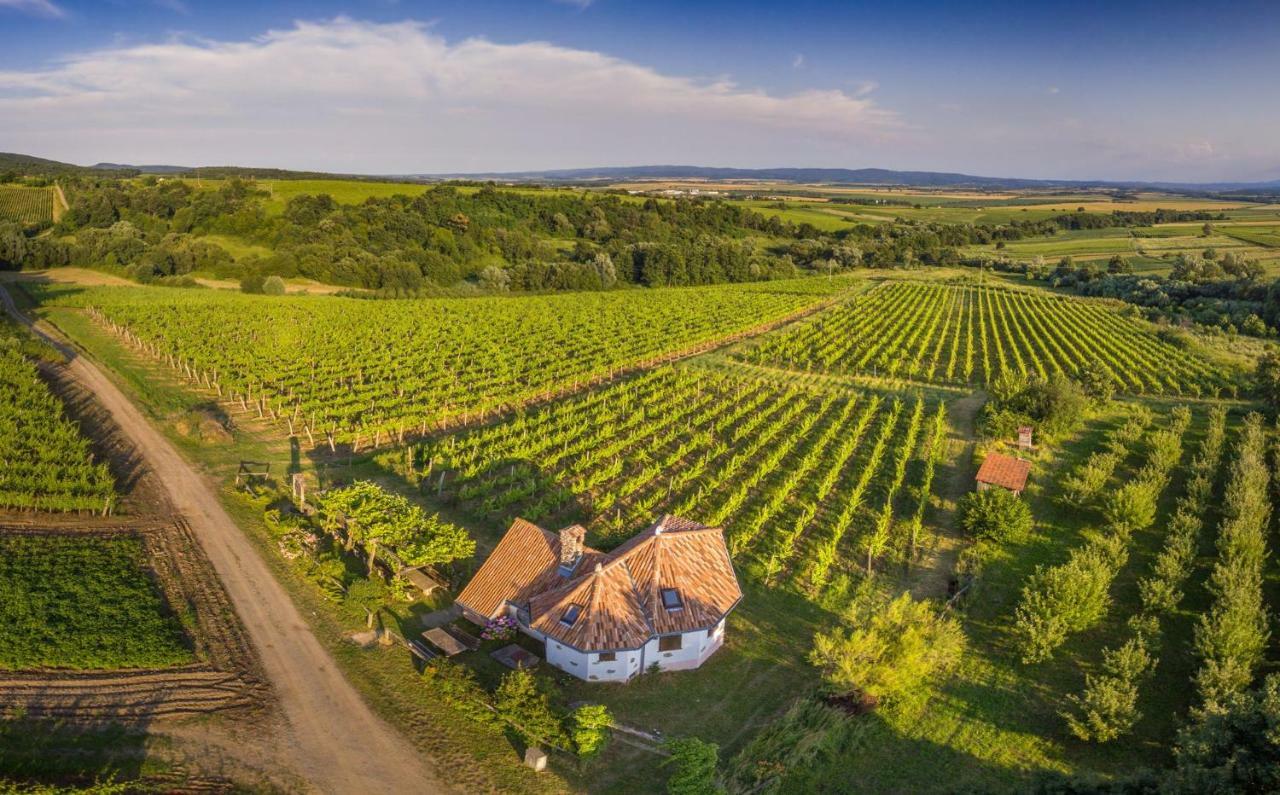 Robinson Vila Kitokret Kutjevo Extérieur photo