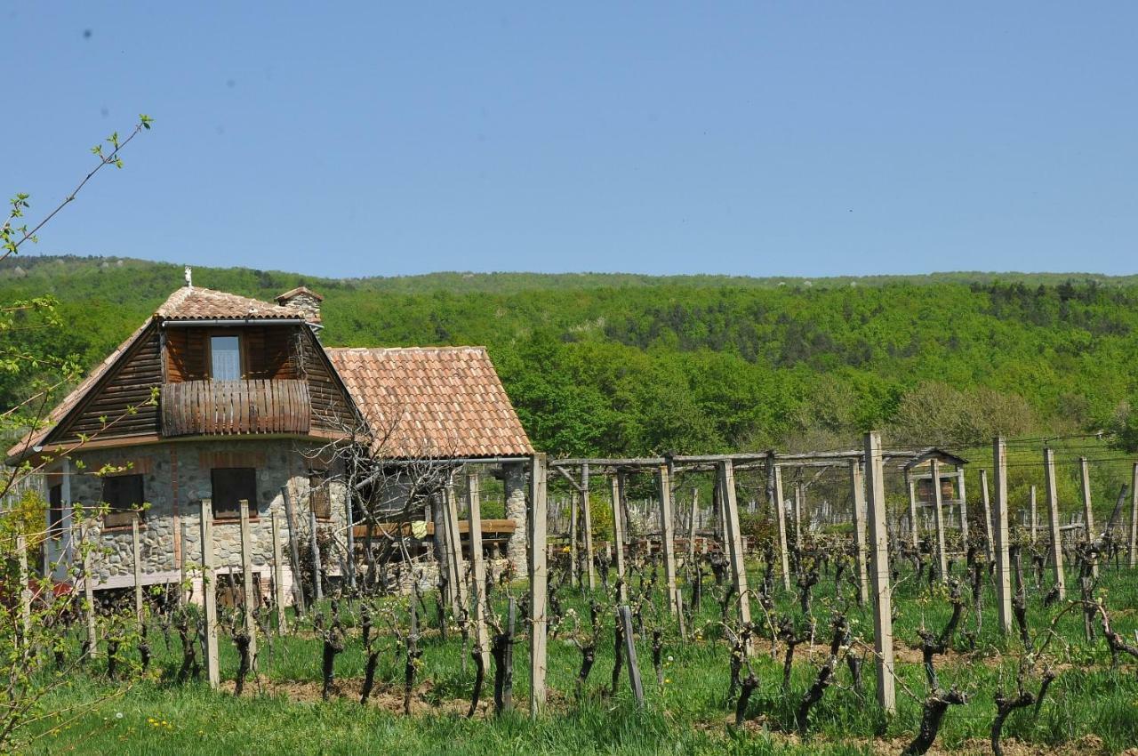 Robinson Vila Kitokret Kutjevo Extérieur photo